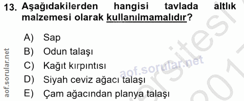 Soru 13