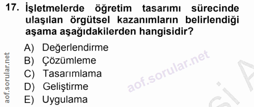 Soru 17