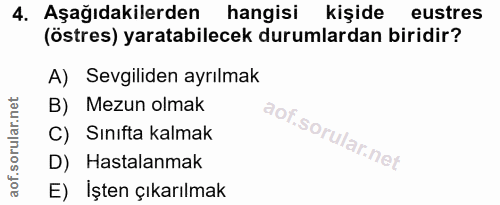Soru 4