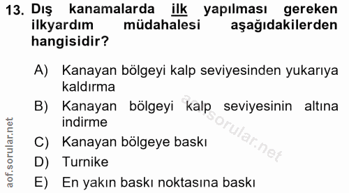 Soru 13