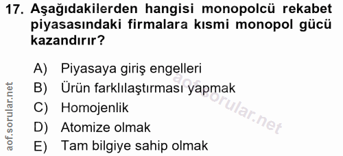 Soru 17