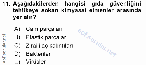 Soru 11