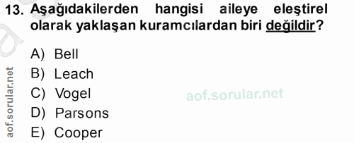 Soru 13