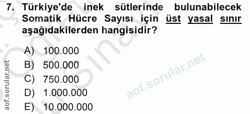 Soru 7