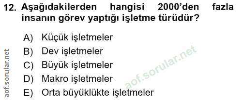 Soru 12