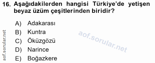 Soru 16