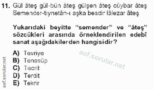 Soru 11