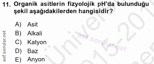 Soru 11