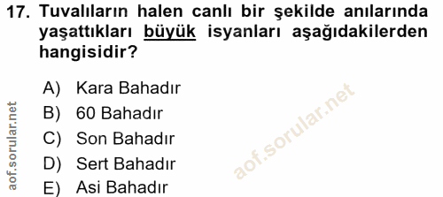 Soru 17