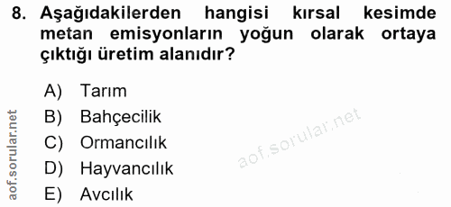 Soru 8