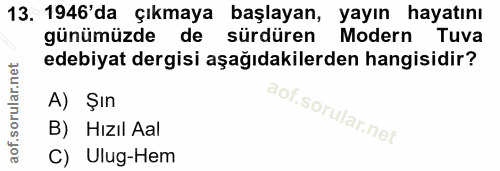 Soru 13
