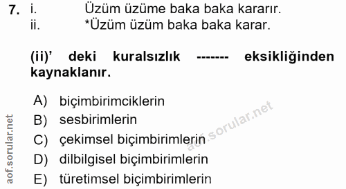 Soru 7
