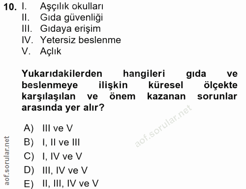 Soru 10