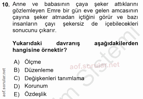 Soru 10