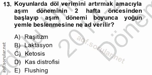 Soru 13