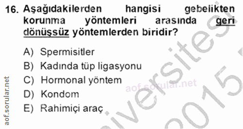 Soru 16