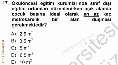 Soru 17