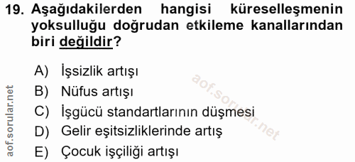 Soru 19