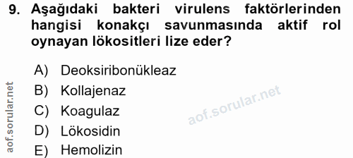 Soru 9