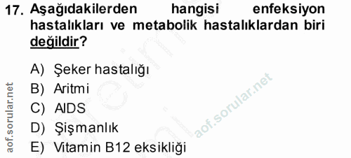 Soru 17