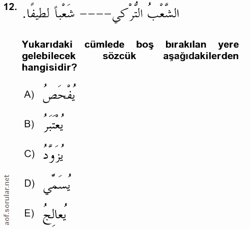 Soru 12