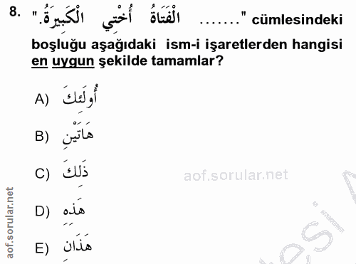 Soru 8