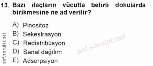 Soru 13