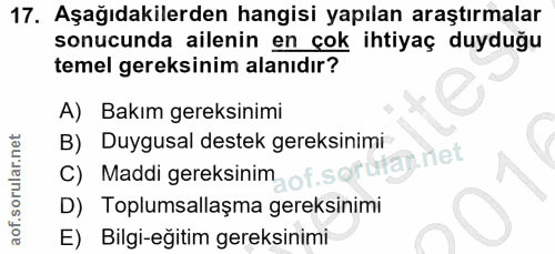 Soru 17