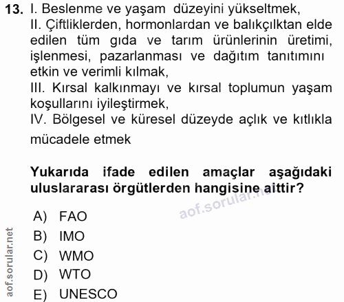 Soru 13