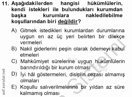 Soru 11