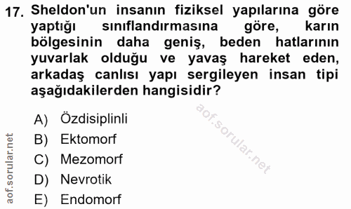 Soru 17