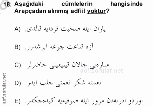 Soru 18