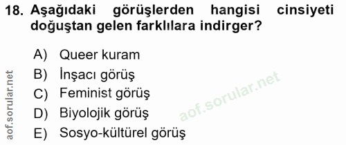 Soru 18