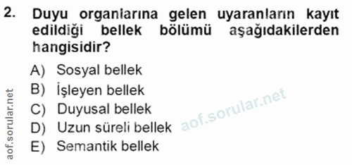 Soru 2