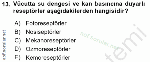 Soru 13