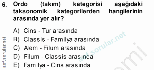 Soru 6