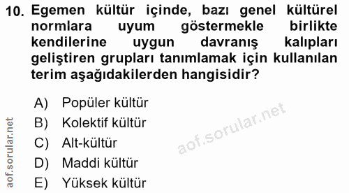 Soru 10