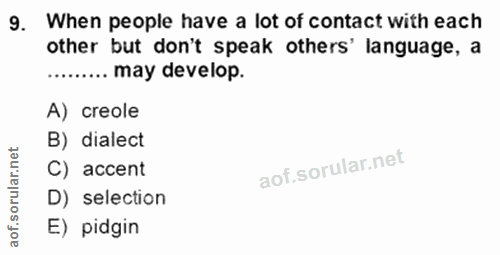Soru 9