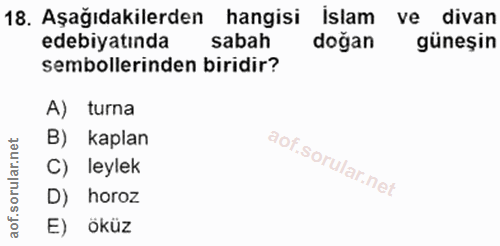 Soru 18