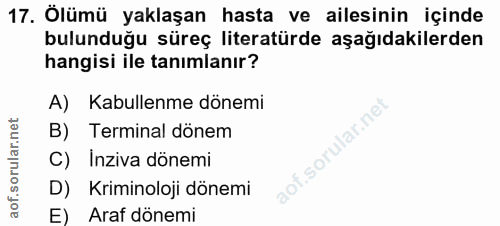 Soru 17