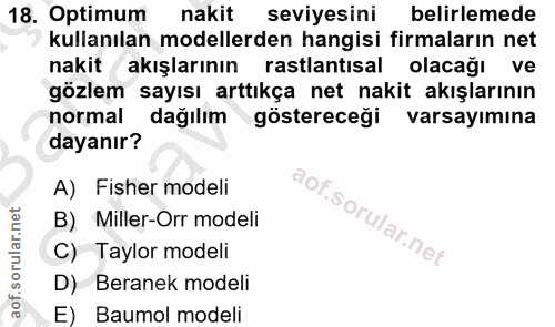 Soru 18