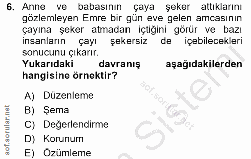 Soru 6