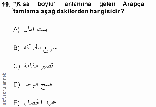 Soru 19