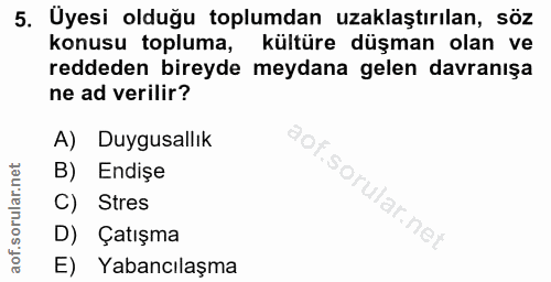 Soru 5