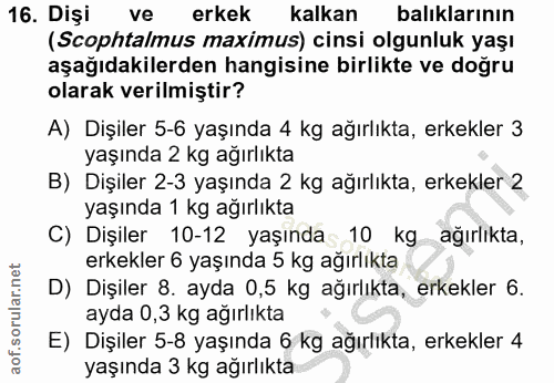 Soru 16
