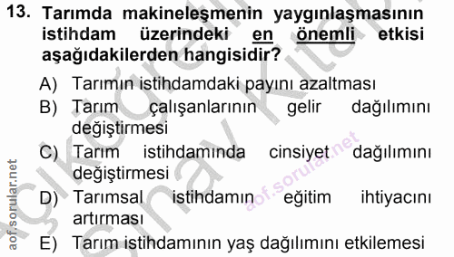 Soru 13