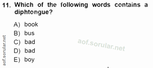 Soru 11