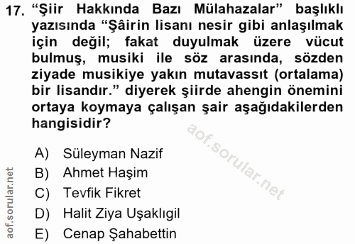 Soru 17