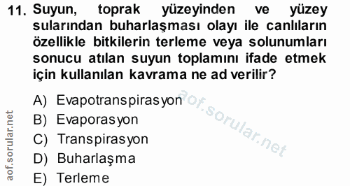 Soru 11