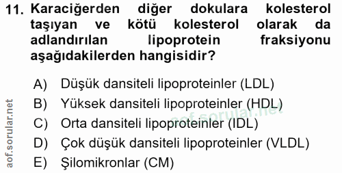 Soru 11